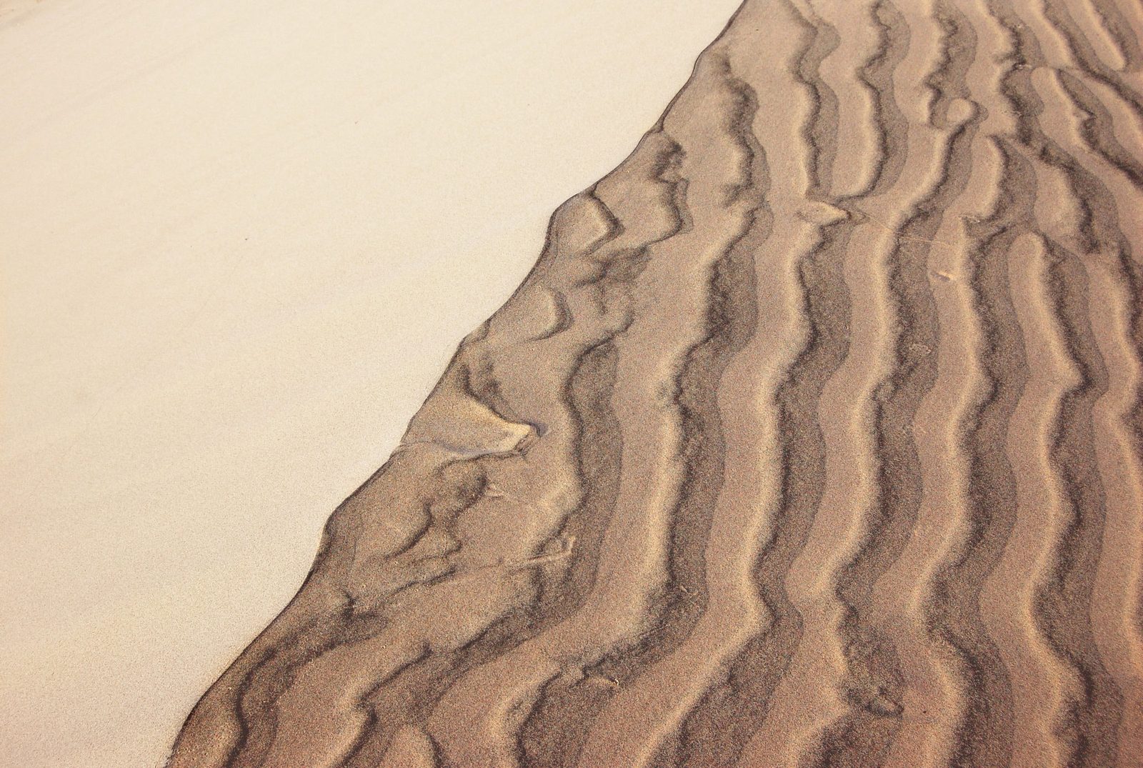 Wind-rippled sand, a ridged dune edge meeting a smooth pale drift.